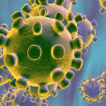 coronavirus bacteria