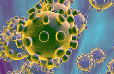 coronavirus bacteria