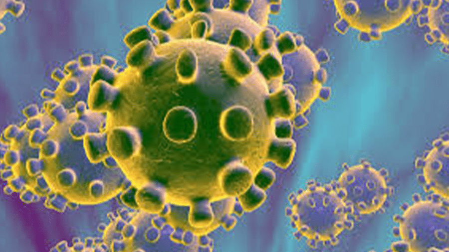 coronavirus bacteria