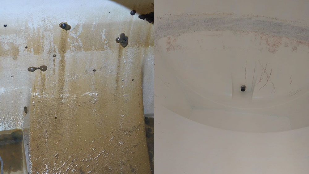 Water Container Problem What's Lurking In Your Water Tank? | We Will Fix It Blog