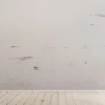 Hardwood white floor with a dirty wall