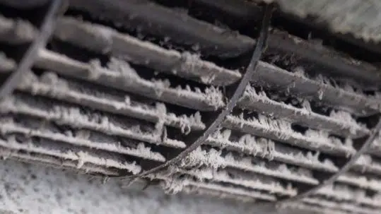 Air conditioning filter covered with mold