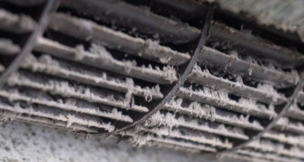 Air conditioning filter covered with mold
